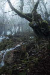 Personajes de Andoin Personajes de Andoin